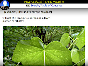 PowerLeafCMS